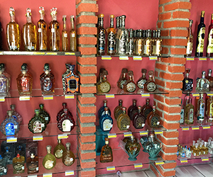 Tequila Sayulita