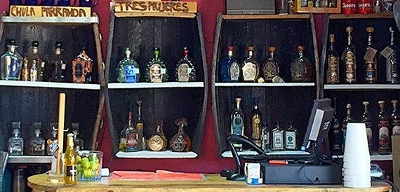 Sayulita tequila tasting